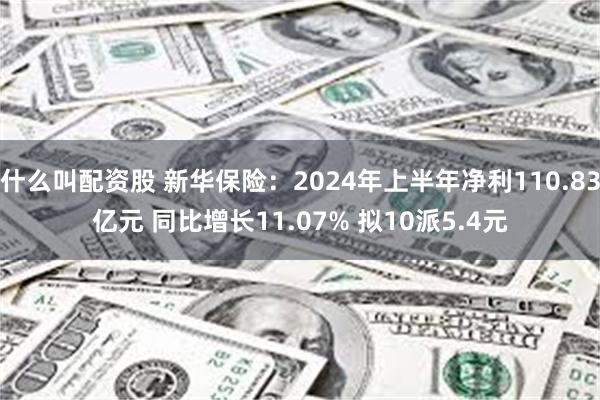 什么叫配资股 新华保险：2024年上半年净利110.83亿元 同比增长11.07% 拟10派5.4元