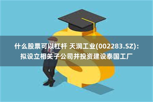 什么股票可以杠杆 天润工业(002283.SZ)：拟设立相关子公司并投资建设泰国工厂