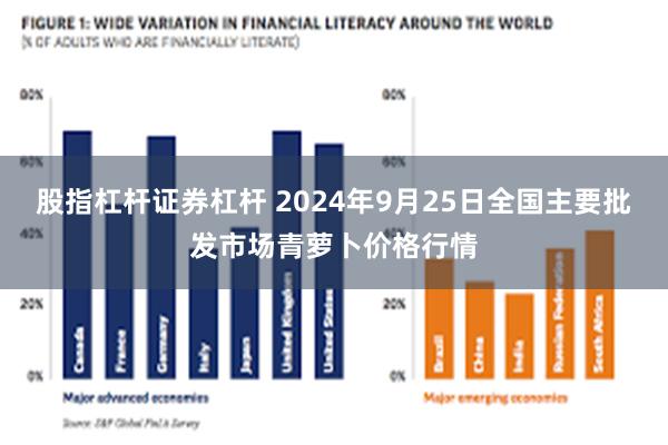 股指杠杆证券杠杆 2024年9月25日全国主要批发市场青萝卜价格行情