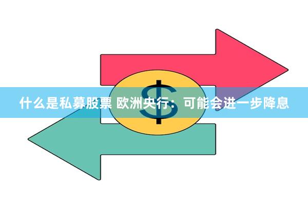 什么是私募股票 欧洲央行：可能会进一步降息