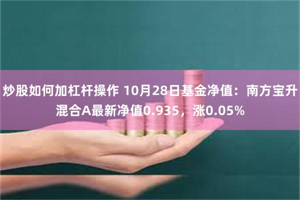 炒股如何加杠杆操作 10月28日基金净值：南方宝升混合A最新净值0.935，涨0.05%