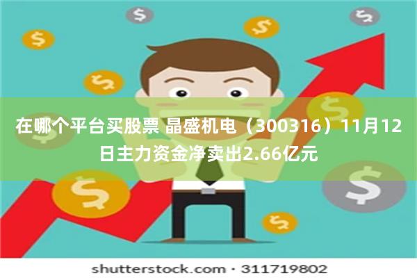 在哪个平台买股票 晶盛机电（300316）11月12日主力资金净卖出2.66亿元