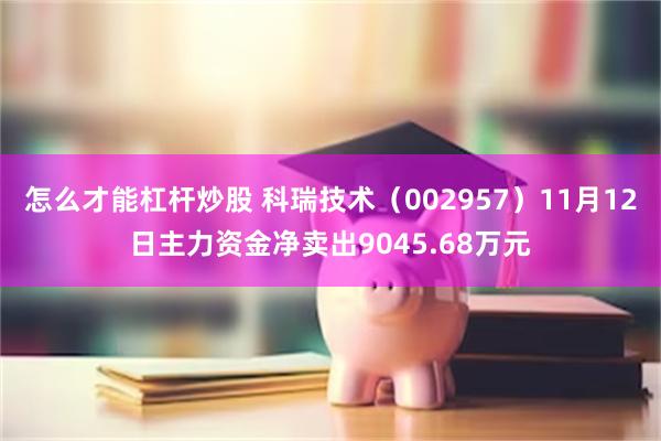 怎么才能杠杆炒股 科瑞技术（002957）11月12日主力资金净卖出9045.68万元