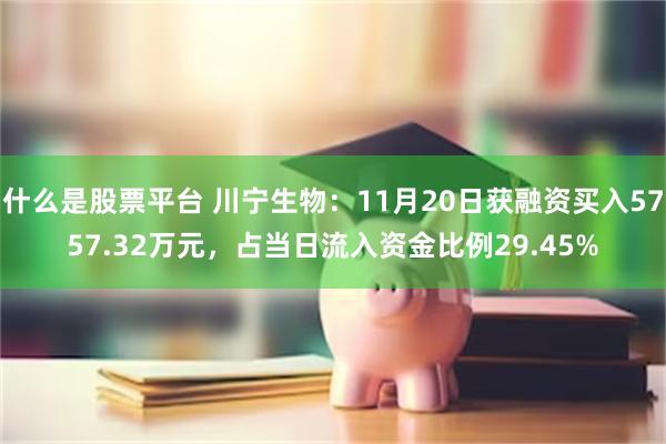 什么是股票平台 川宁生物：11月20日获融资买入5757.32万元，占当日流入资金比例29.45%