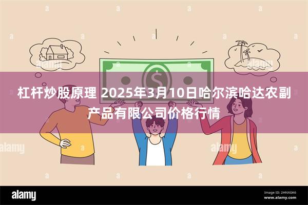 杠杆炒股原理 2025年3月10日哈尔滨哈达农副产品有限公司价格行情