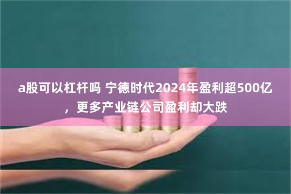 a股可以杠杆吗 宁德时代2024年盈利超500亿，更多产业链公司盈利却大跌